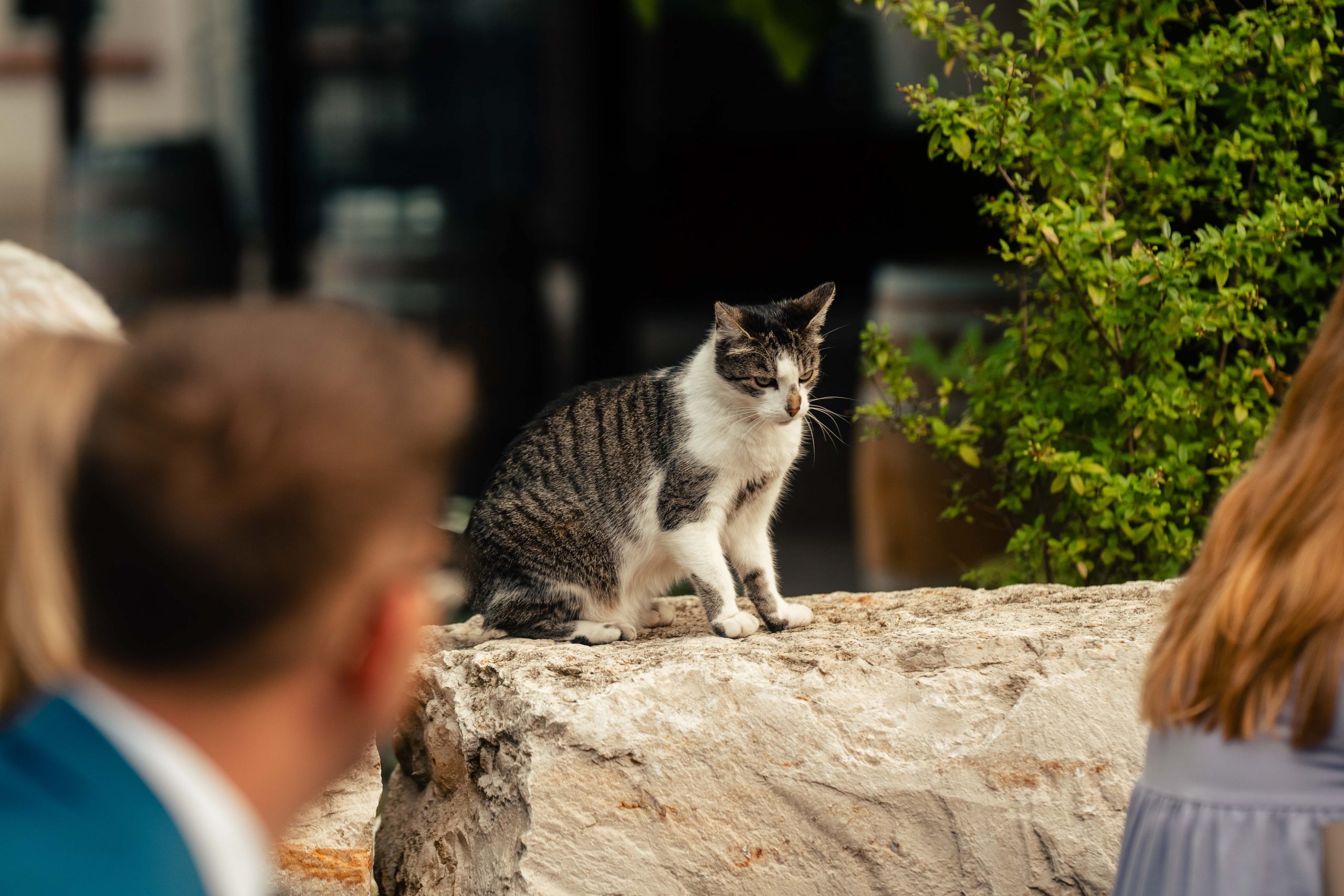 anna-oliver-hochzeitsreportage-61