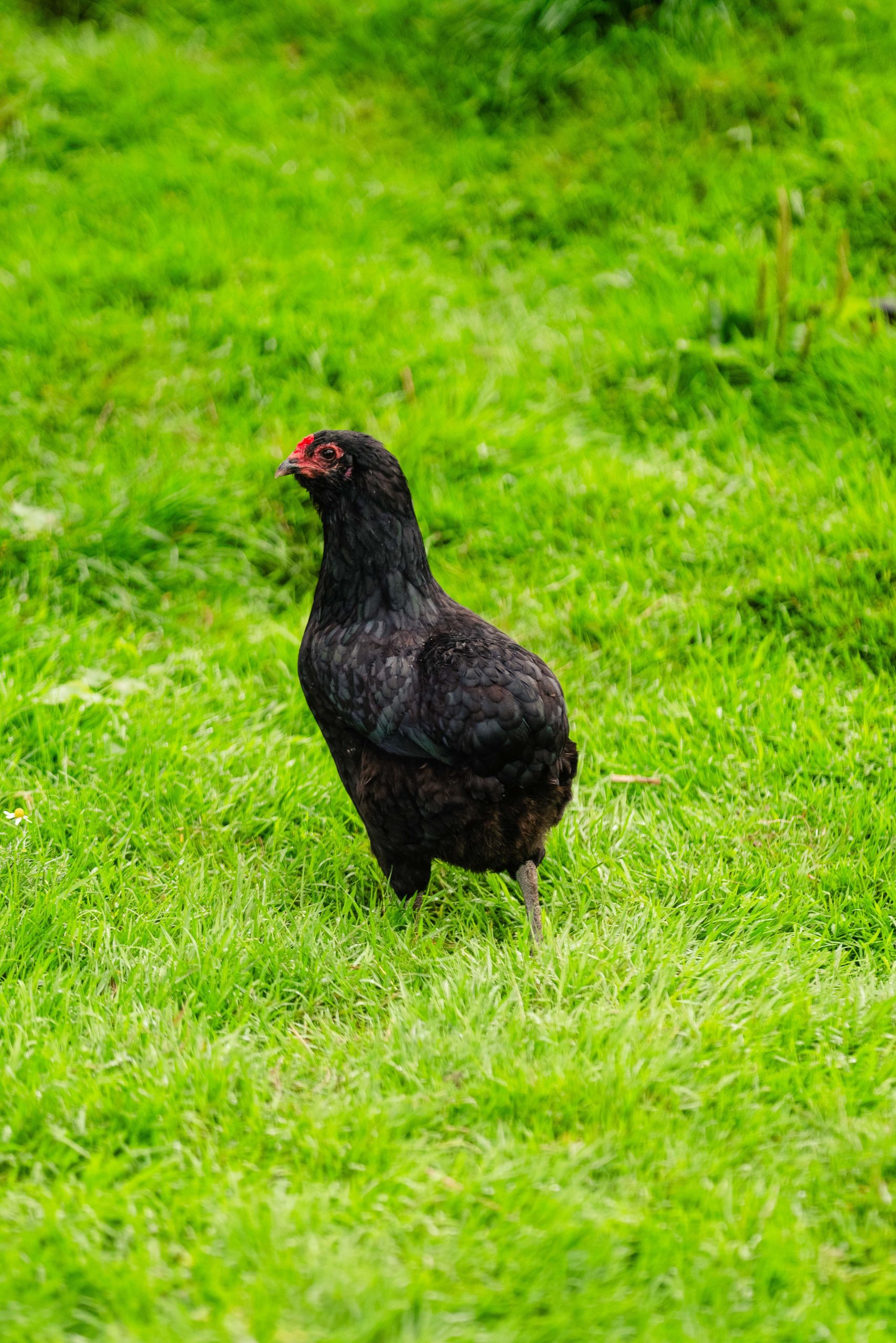 kerstin-marius-hochzeitsreportage-97