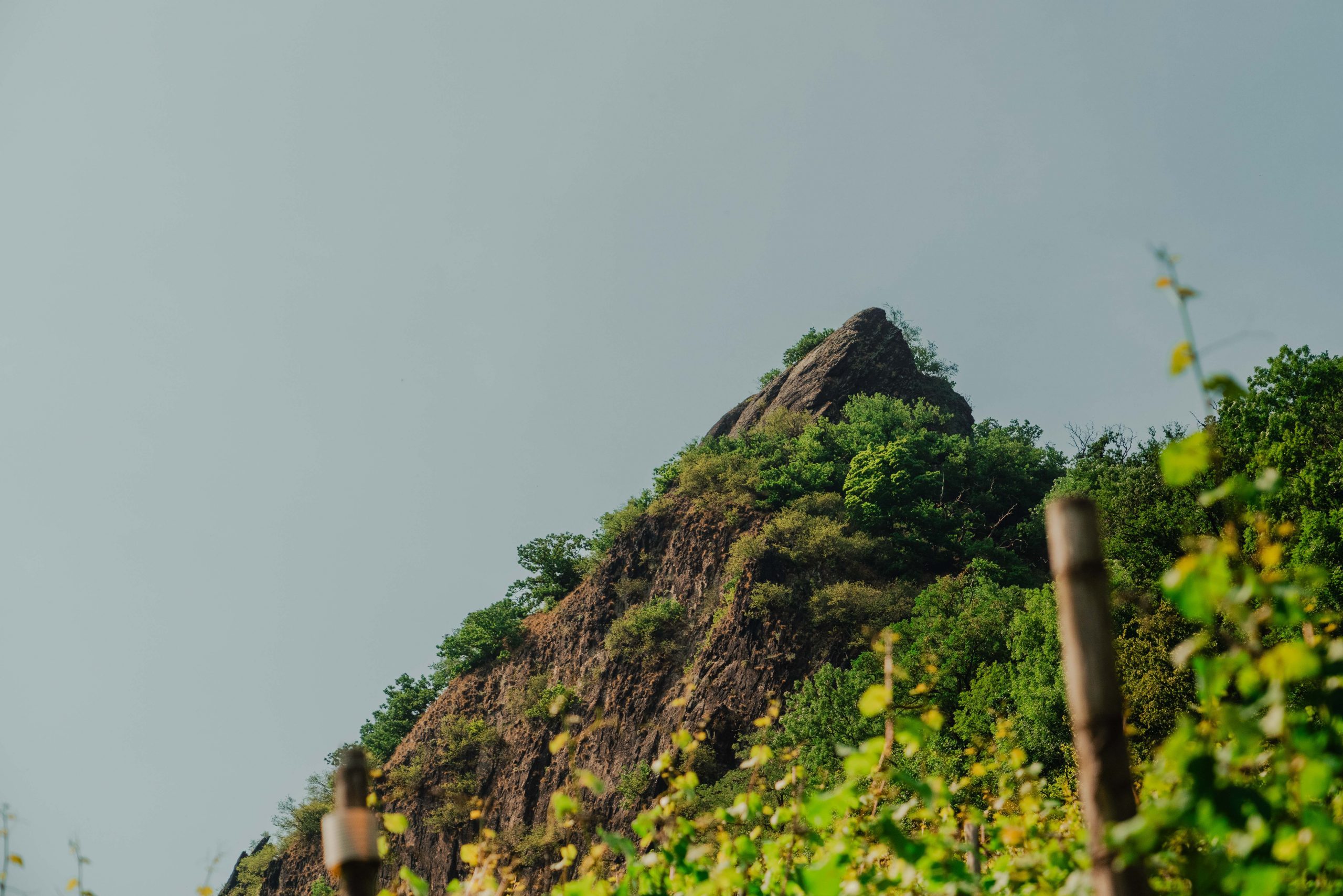 michaela-michael-hochzeitsreportage-51