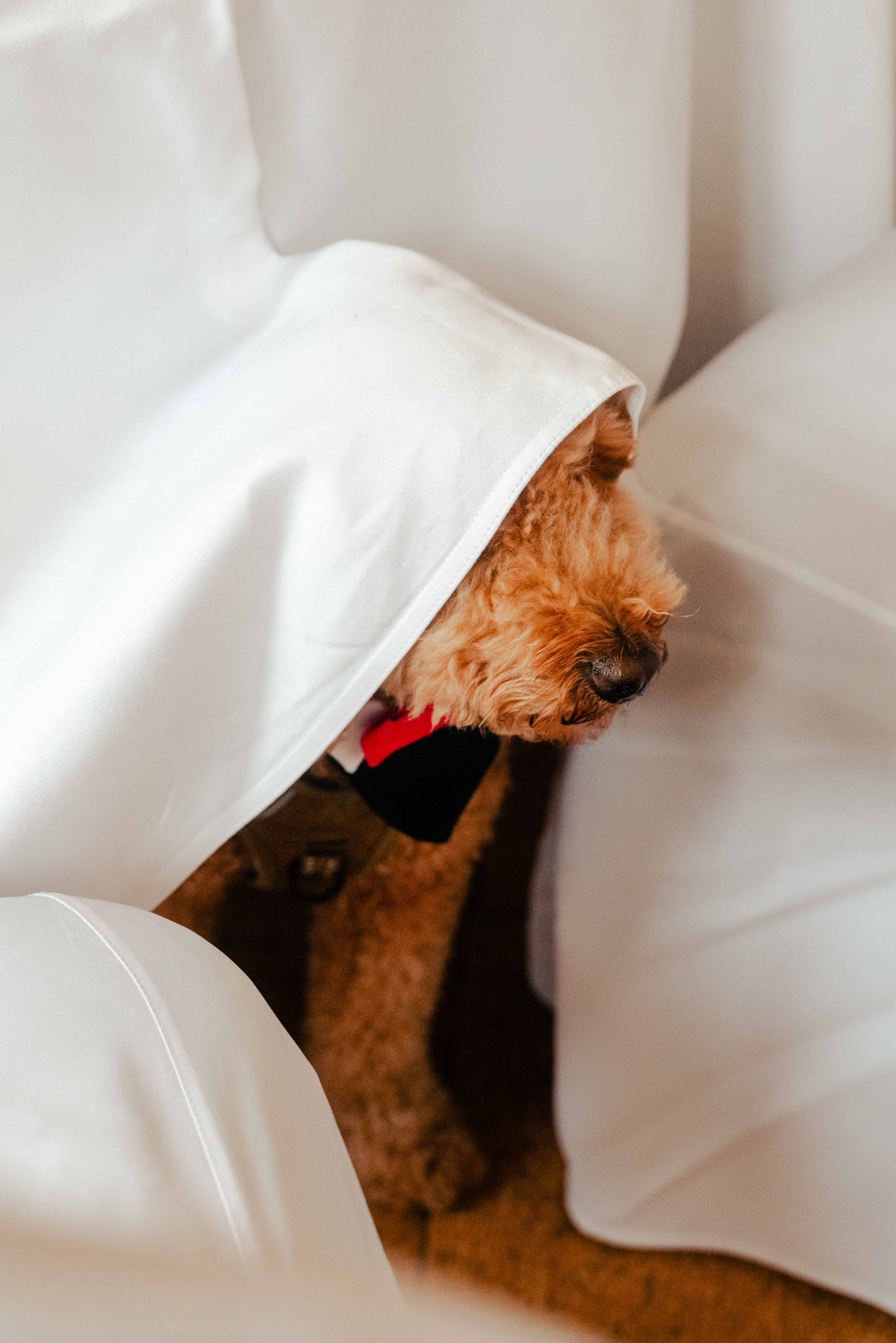 minji-konstantin-hochzeitsreportage-106