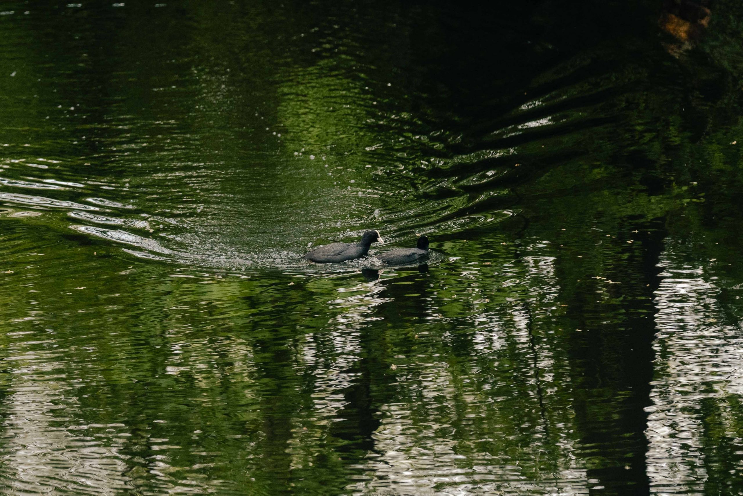 minji-konstantin-hochzeitsreportage-115