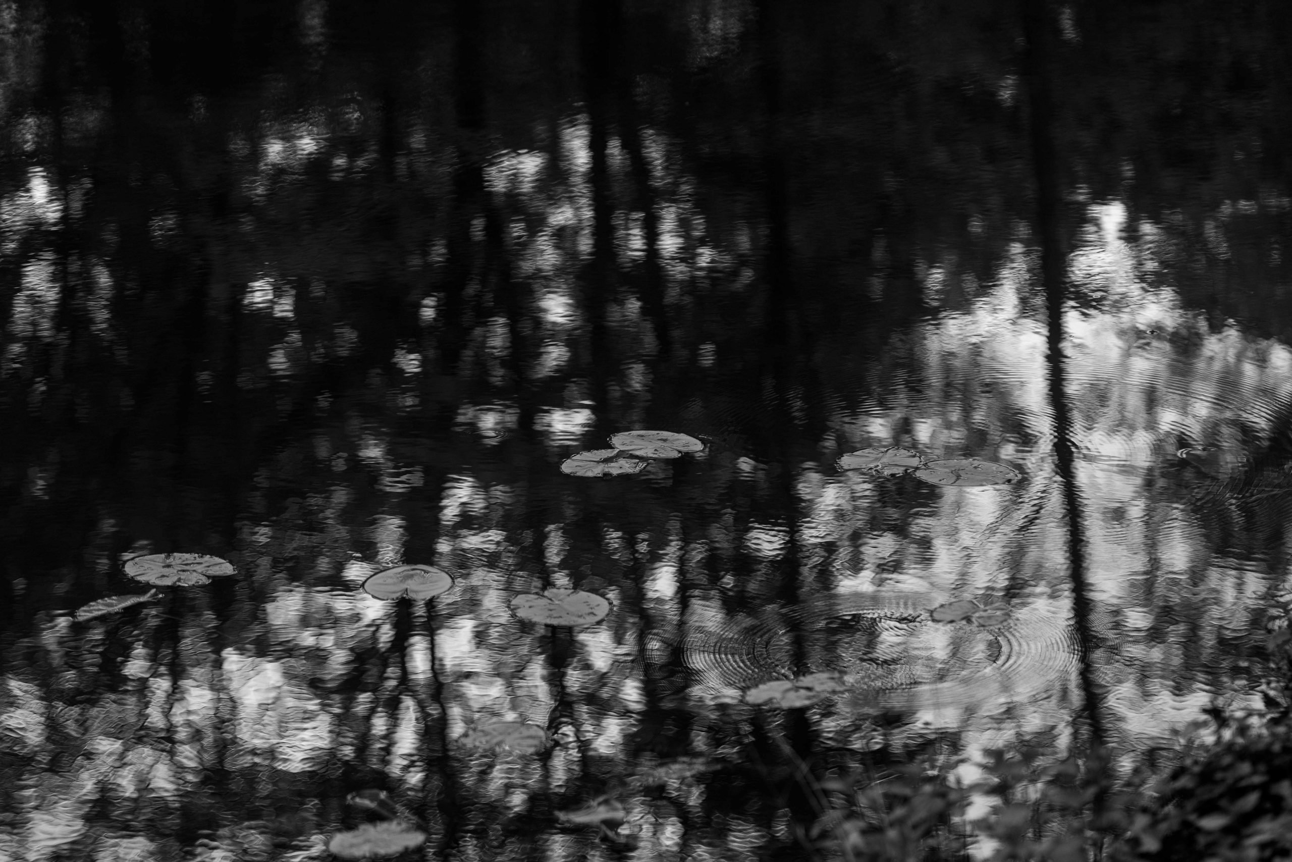 minji-konstantin-hochzeitsreportage-117