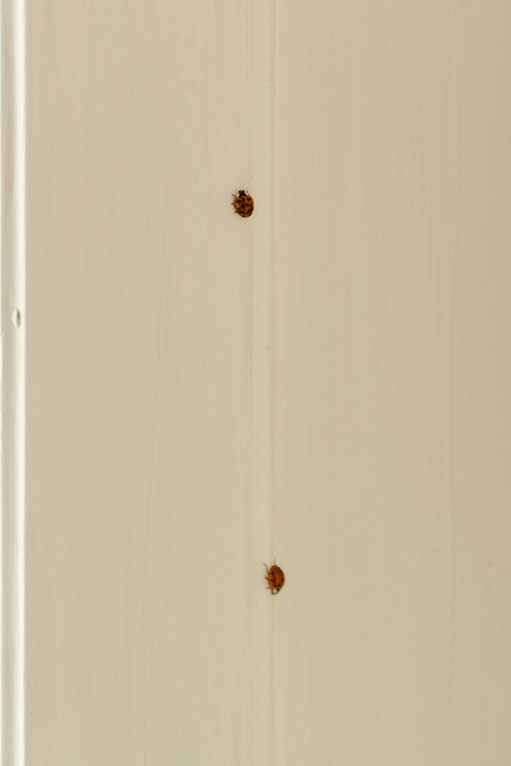 minji-konstantin-hochzeitsreportage-75