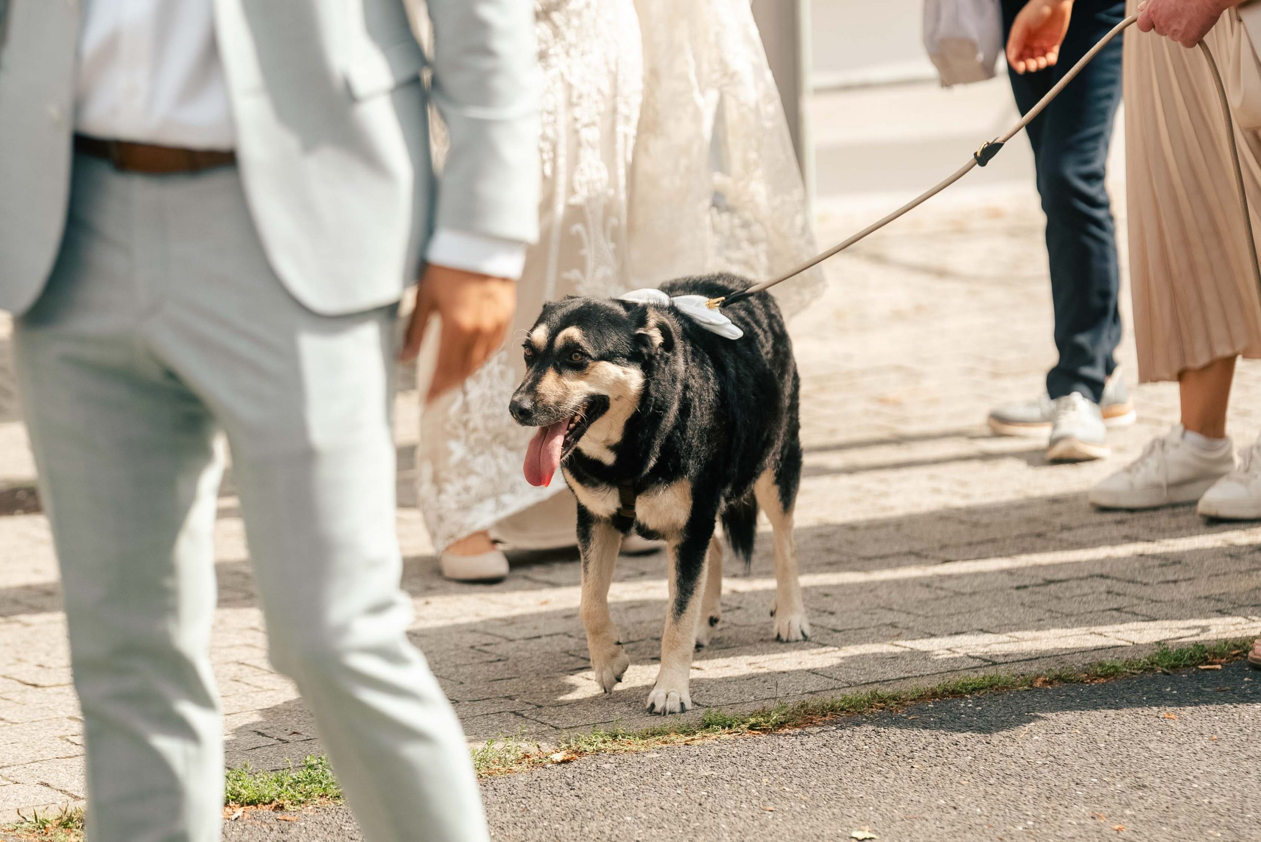 ricarda-pero-hochzeitsreportage-11