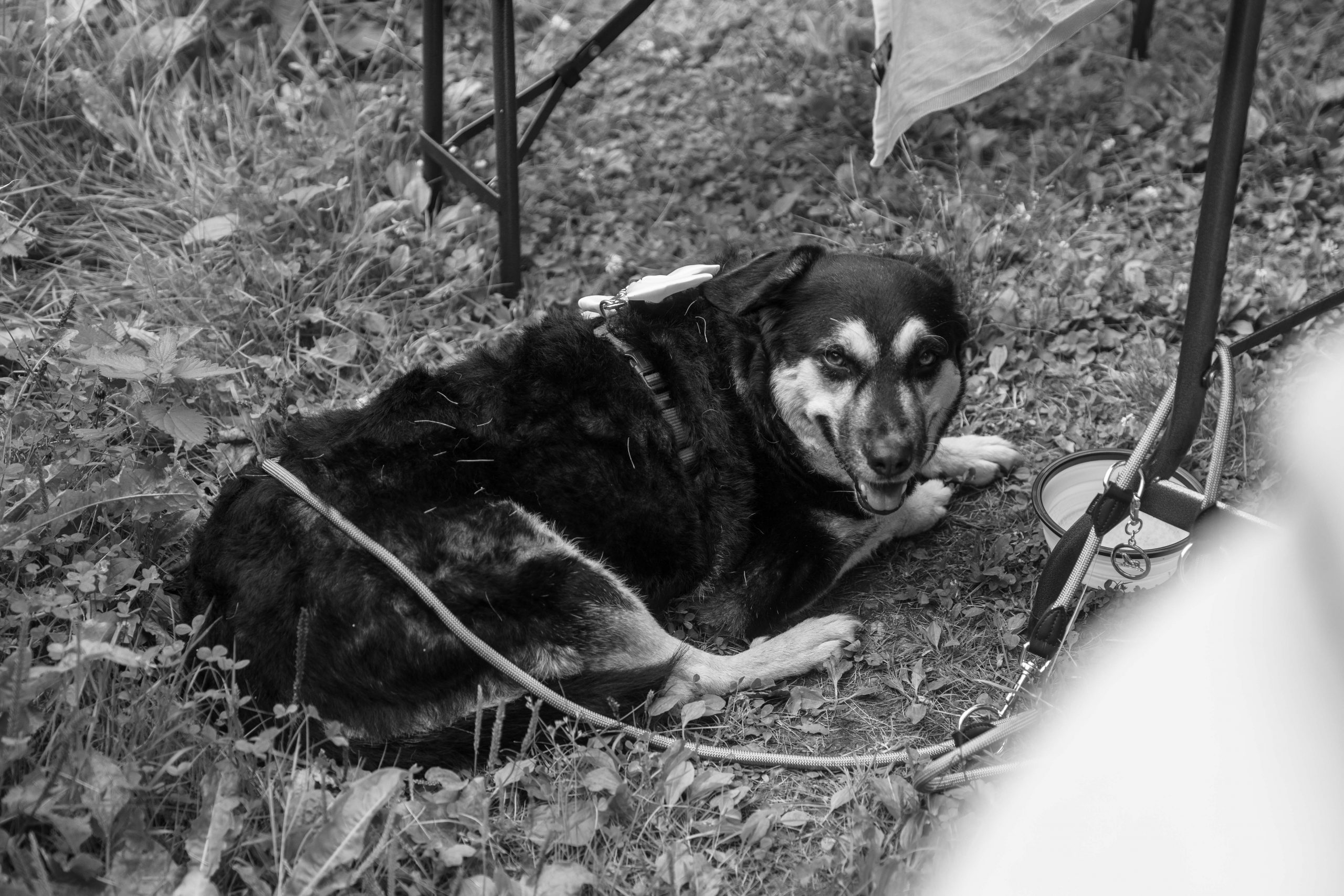 ricarda-pero-hochzeitsreportage-89