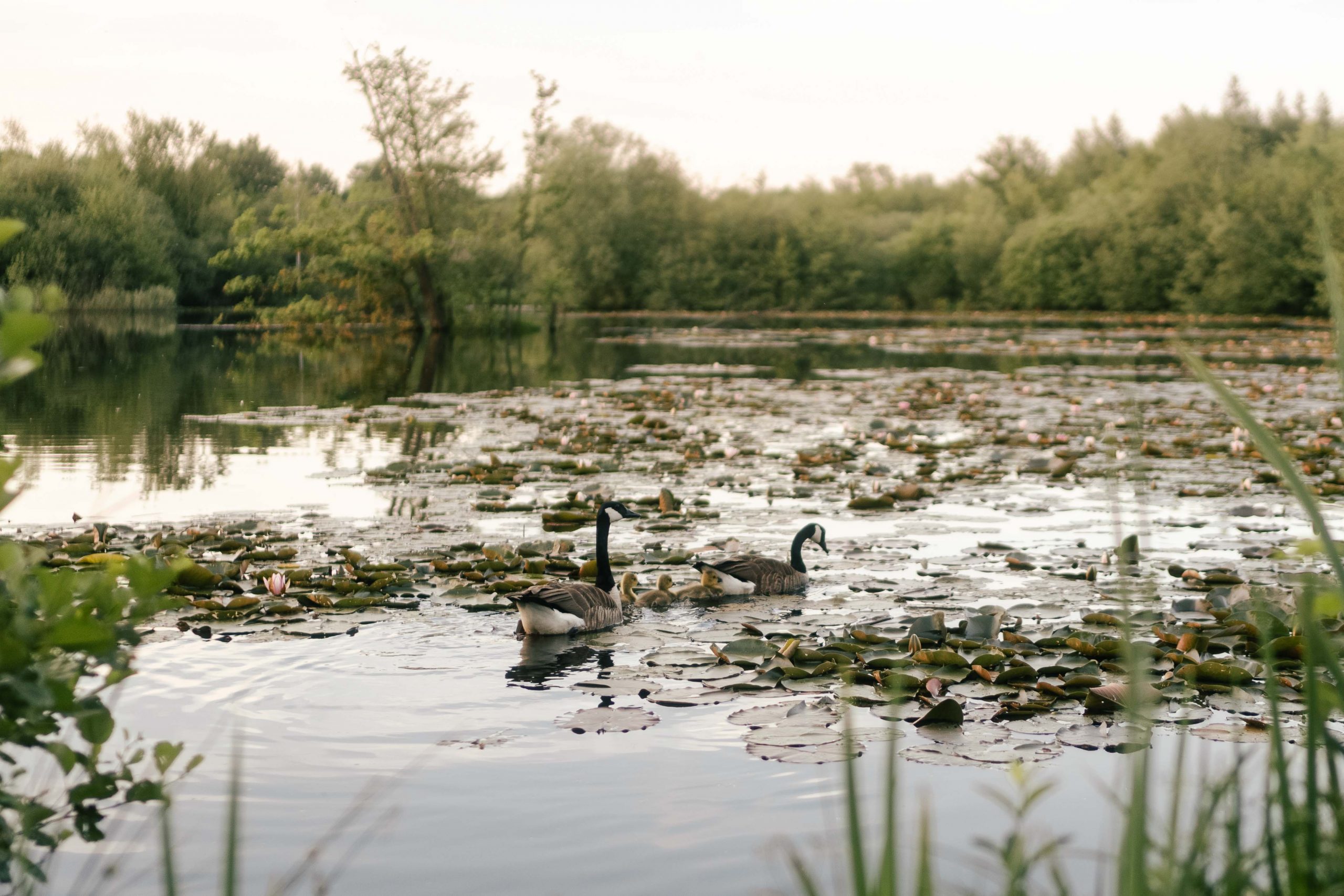 paarshooting-anna-daniel-2